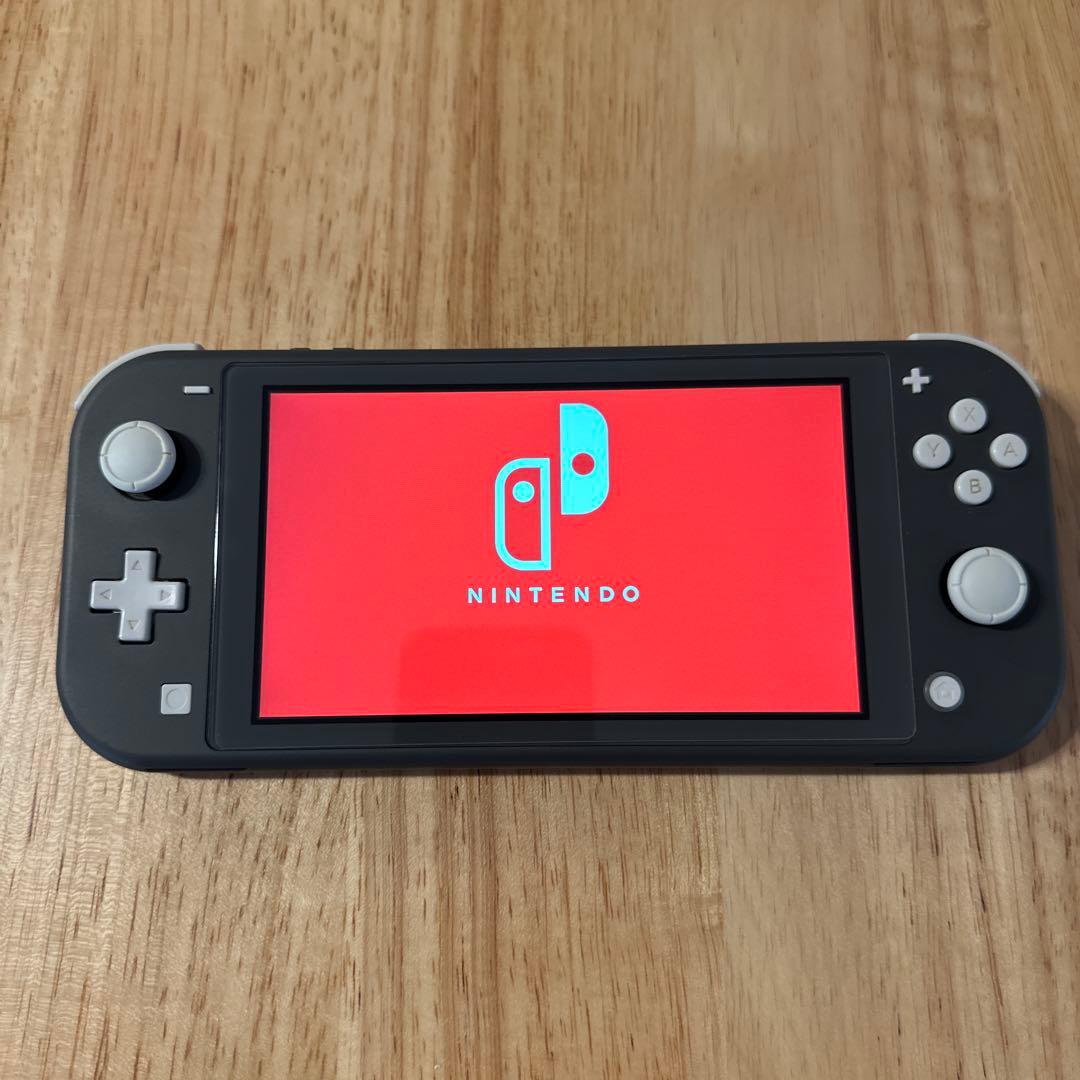 Nintendo Switch LITE グレー　ソフトケース付き