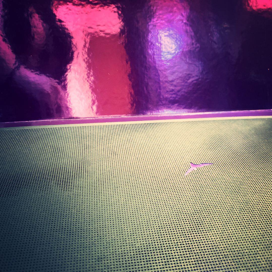 希少本　ビジョネア43 ドリーム限定シリアルNo.本