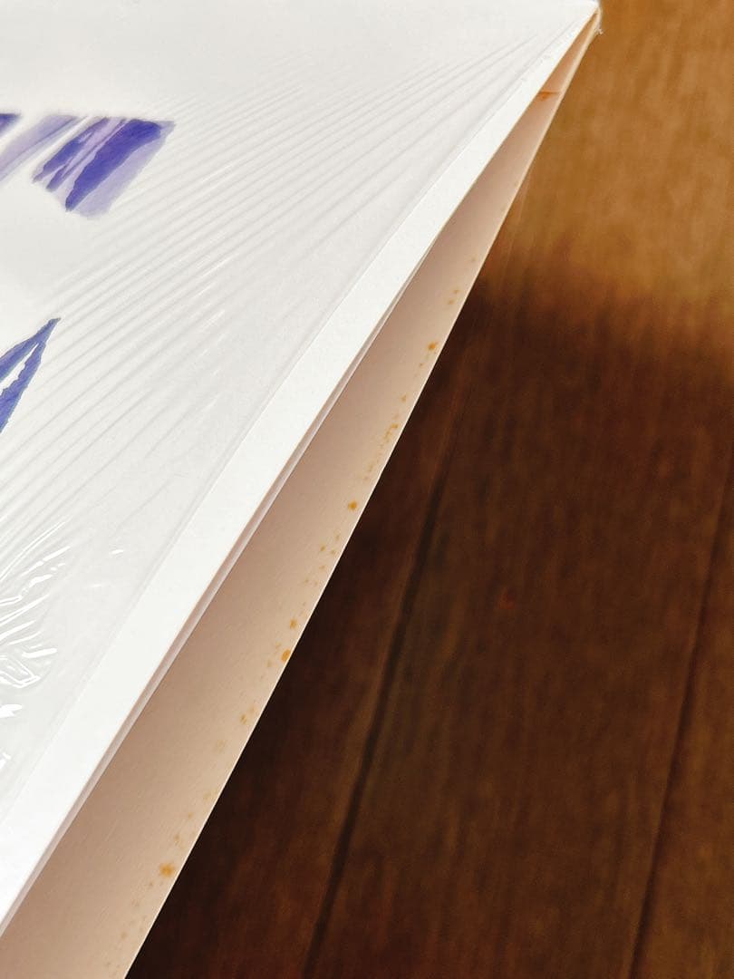 mei ehara / Sway アナログ LP レコード カクバリズム