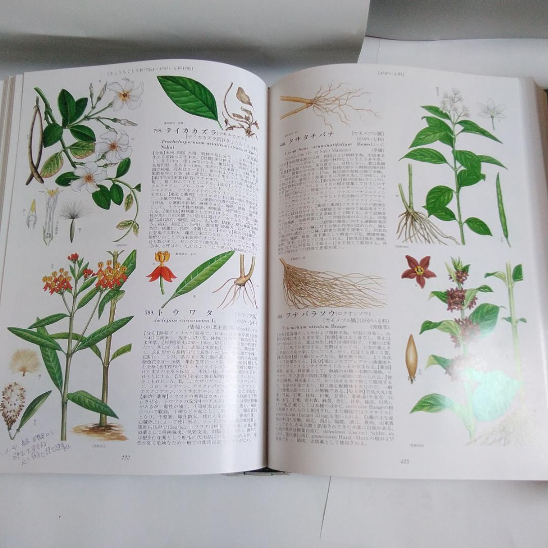 「原色牧野和漢薬草大図鑑」 岡田稔　漢方薬　薬用植物図鑑