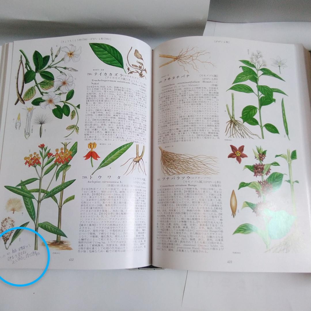 「原色牧野和漢薬草大図鑑」 岡田稔　漢方薬　薬用植物図鑑