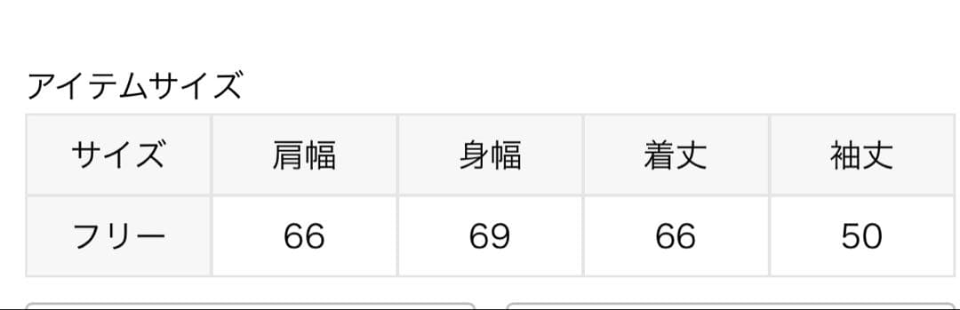 ジャーナルスタンダード レサージュ ミッキー　スウェットプルオーバー