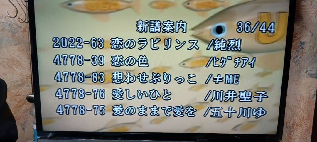 カラオケ機器家庭用JOYSOUND楽宴DⅡ