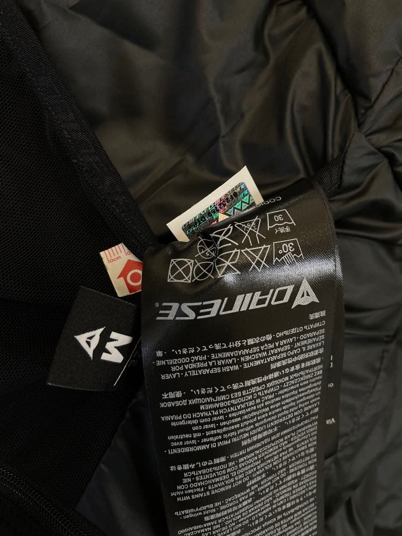 ダイネーゼ　レディーススキーダウンジャケット　新品