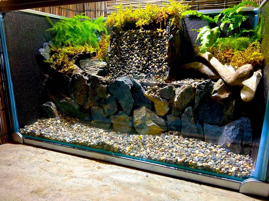 水の流れる滝テラリウム水槽　苔テラリウム　50センチ