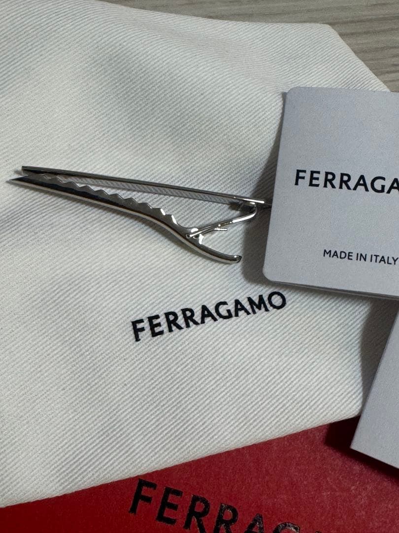 Salvatore Ferragamo／シルバータイピン