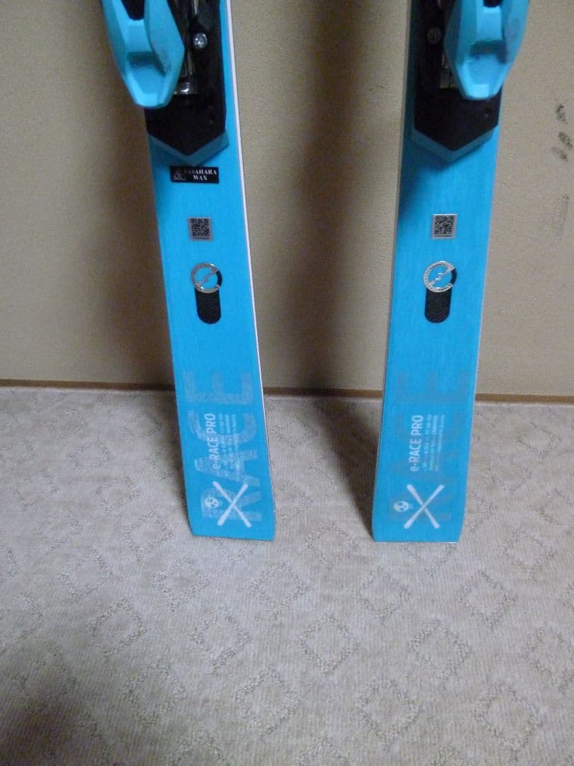 スキー HEAD WORLDCUP REBELS E-RACE PRO