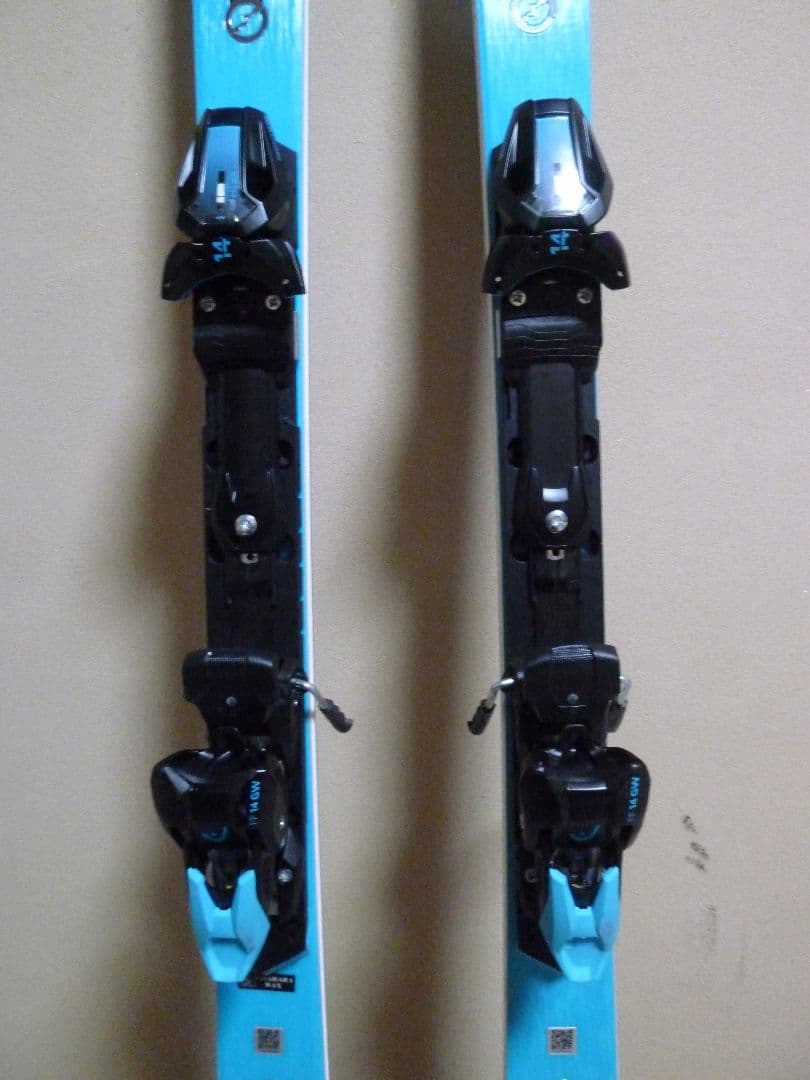 スキー HEAD WORLDCUP REBELS E-RACE PRO