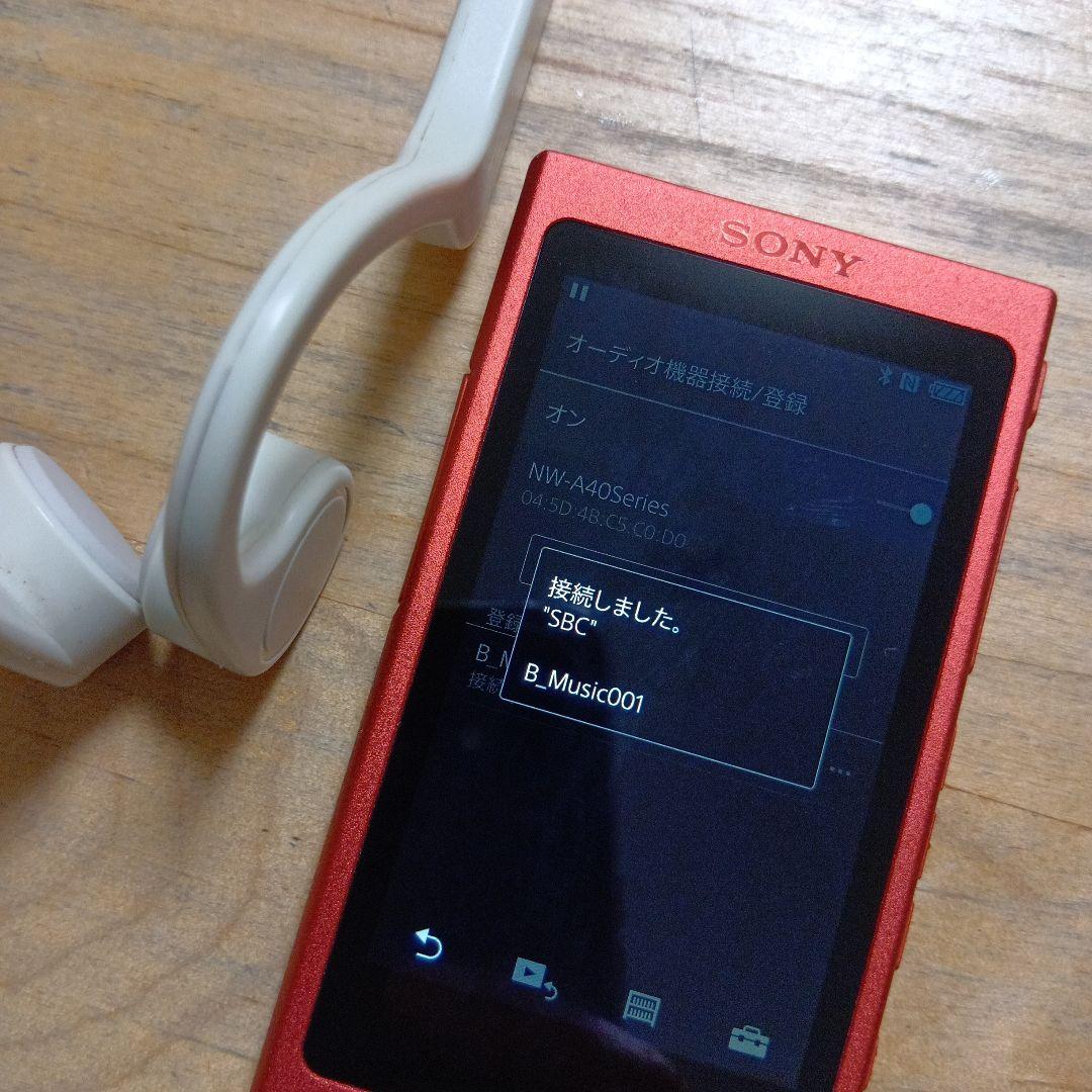 刹*。様 SONYウォークマンNW-A45 16GB　動作良好　美品