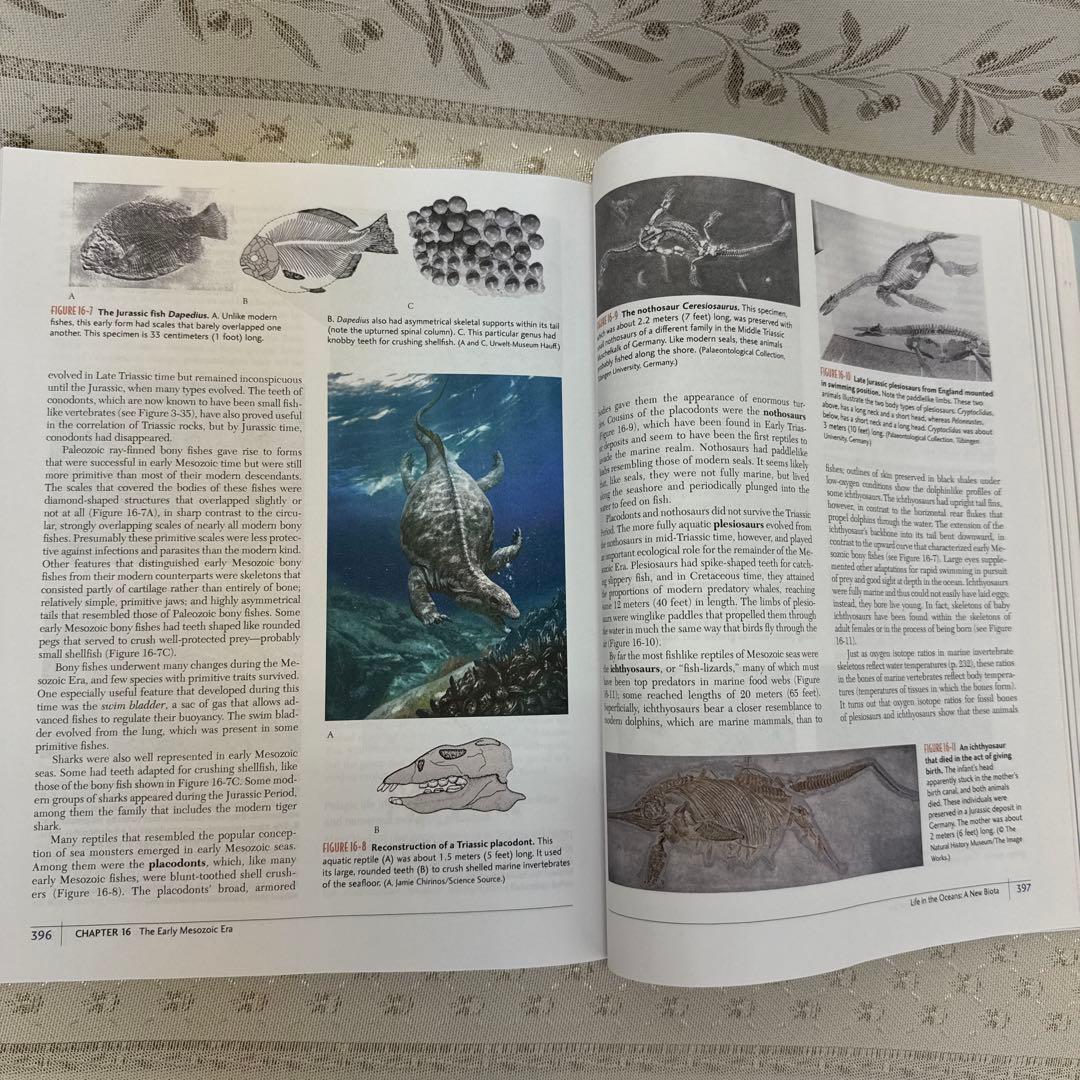 Earth System History 第四版