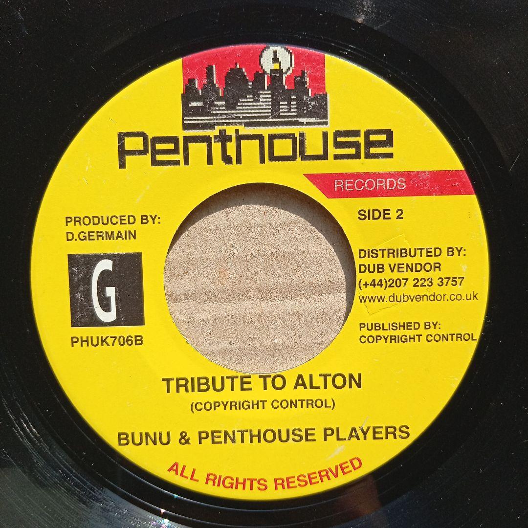 romain virgo - alton's medley 激レアレゲエレコード