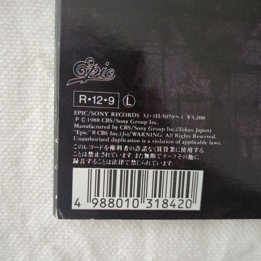 TM NETWORK CAROL レコード 2LP 新品同様