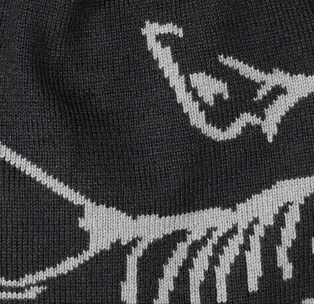 【US直輸入】ARC'TERYX ライトウエィト　バード ヘッド トーク