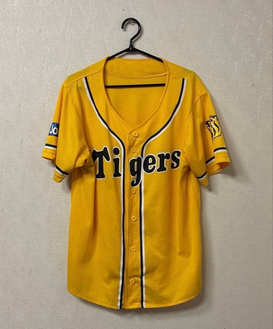 阪神タイガース　横田、梅野、岩崎、岩貞、中谷　2013ドラフト同期or九州人会