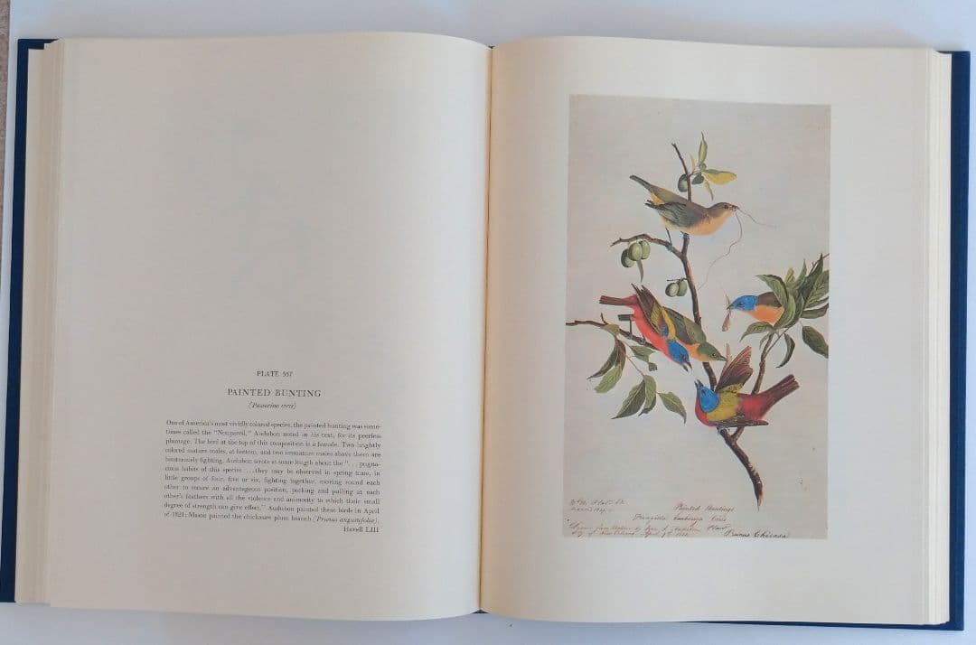 【洋書】「オーデュボンによるアメリカの鳥類のための水彩原画集」函入り2巻セット