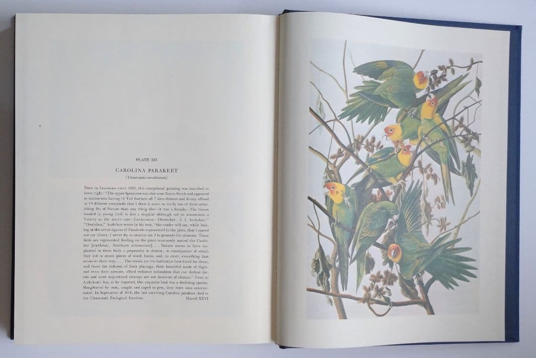 【洋書】「オーデュボンによるアメリカの鳥類のための水彩原画集」函入り2巻セット