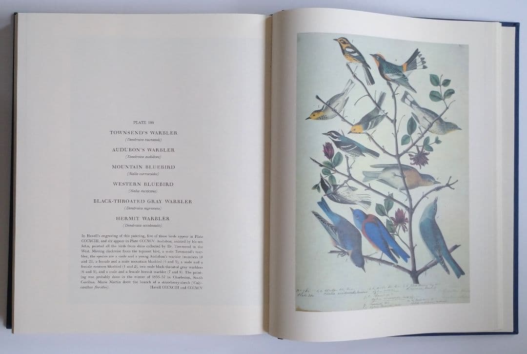 【洋書】「オーデュボンによるアメリカの鳥類のための水彩原画集」函入り2巻セット