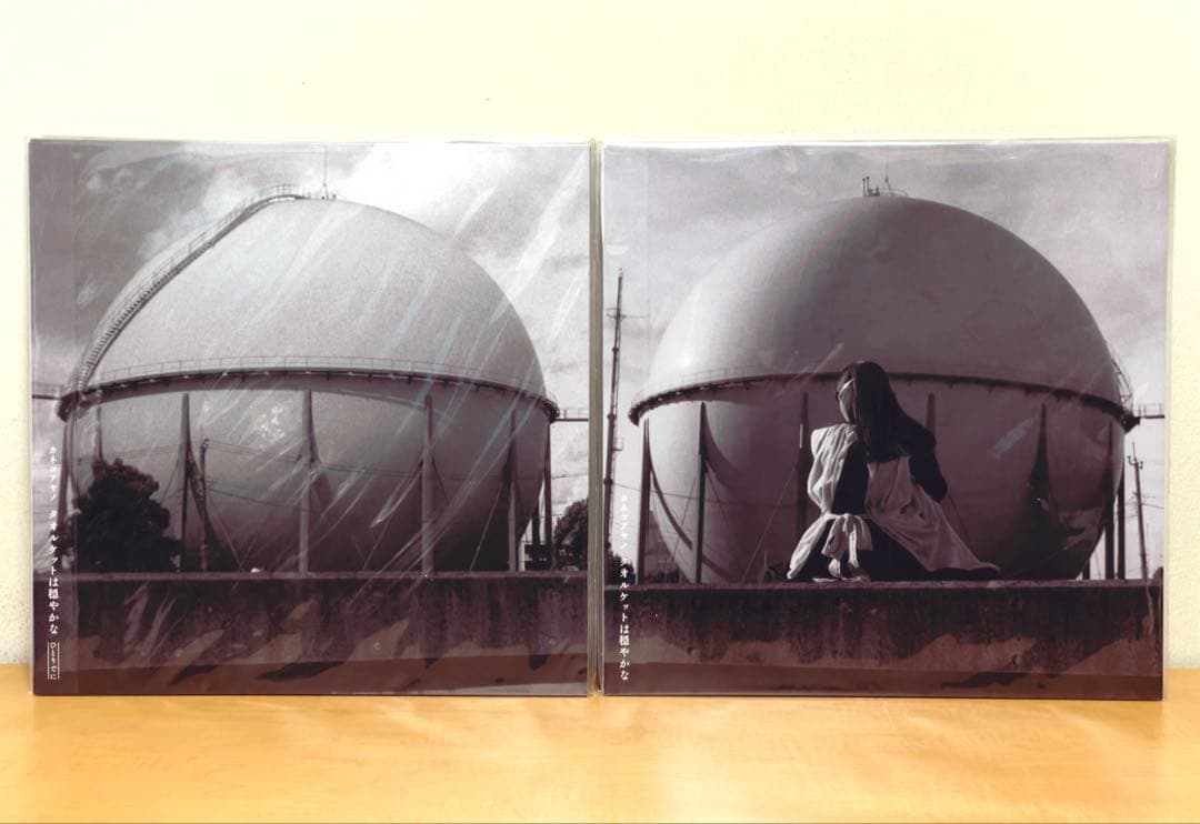 カネコアヤノ『タオルケットは穏やかな』&『〜ひとりでに 』レコード盤 2点セット