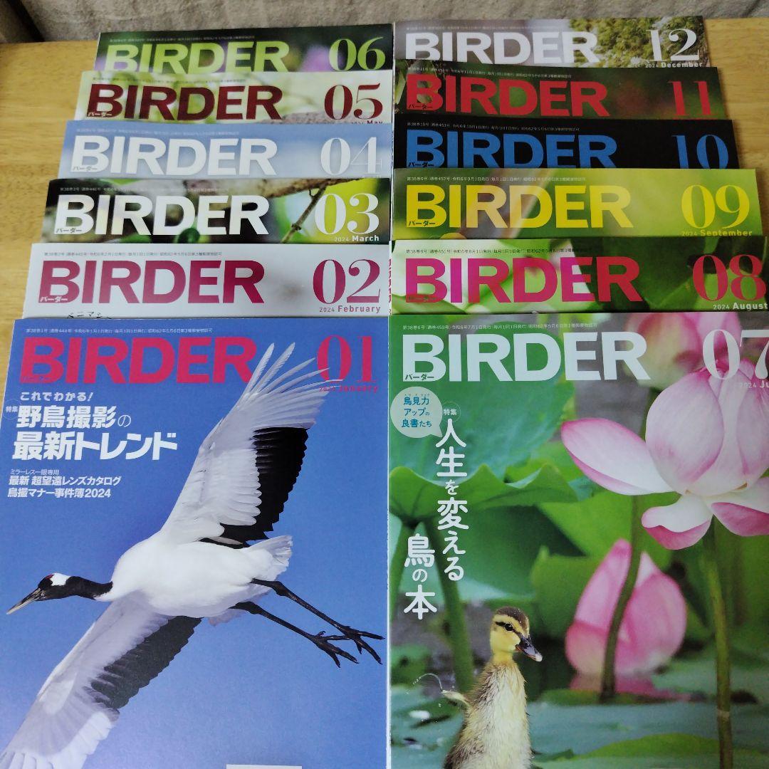 美品【BIRDER】2024年