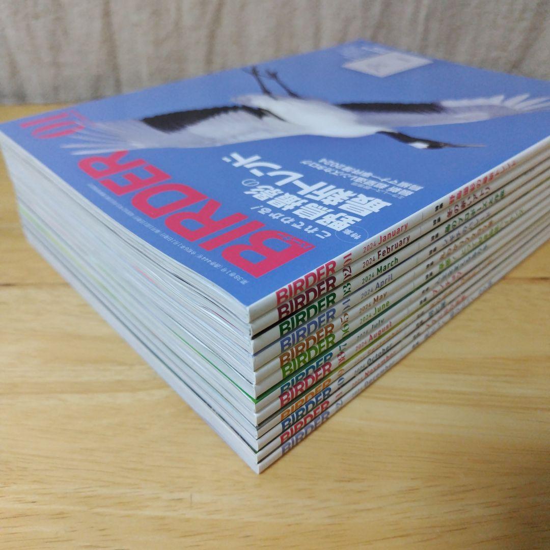 美品【BIRDER】2024年