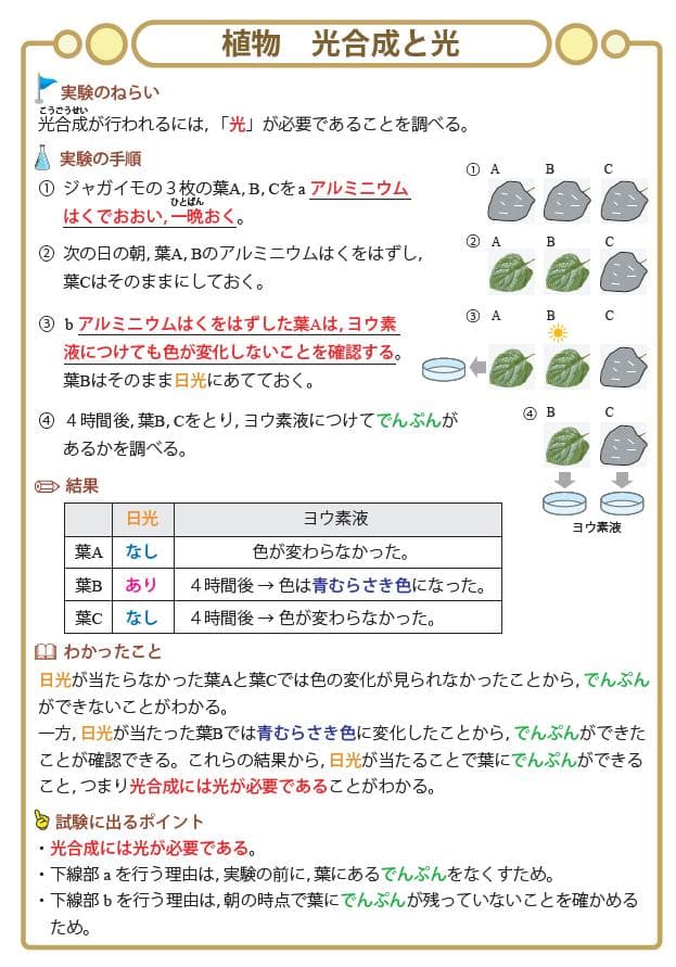 ☆中学受験・理科　頻出用語・ポイントにしぼったまとめカード、セット商品