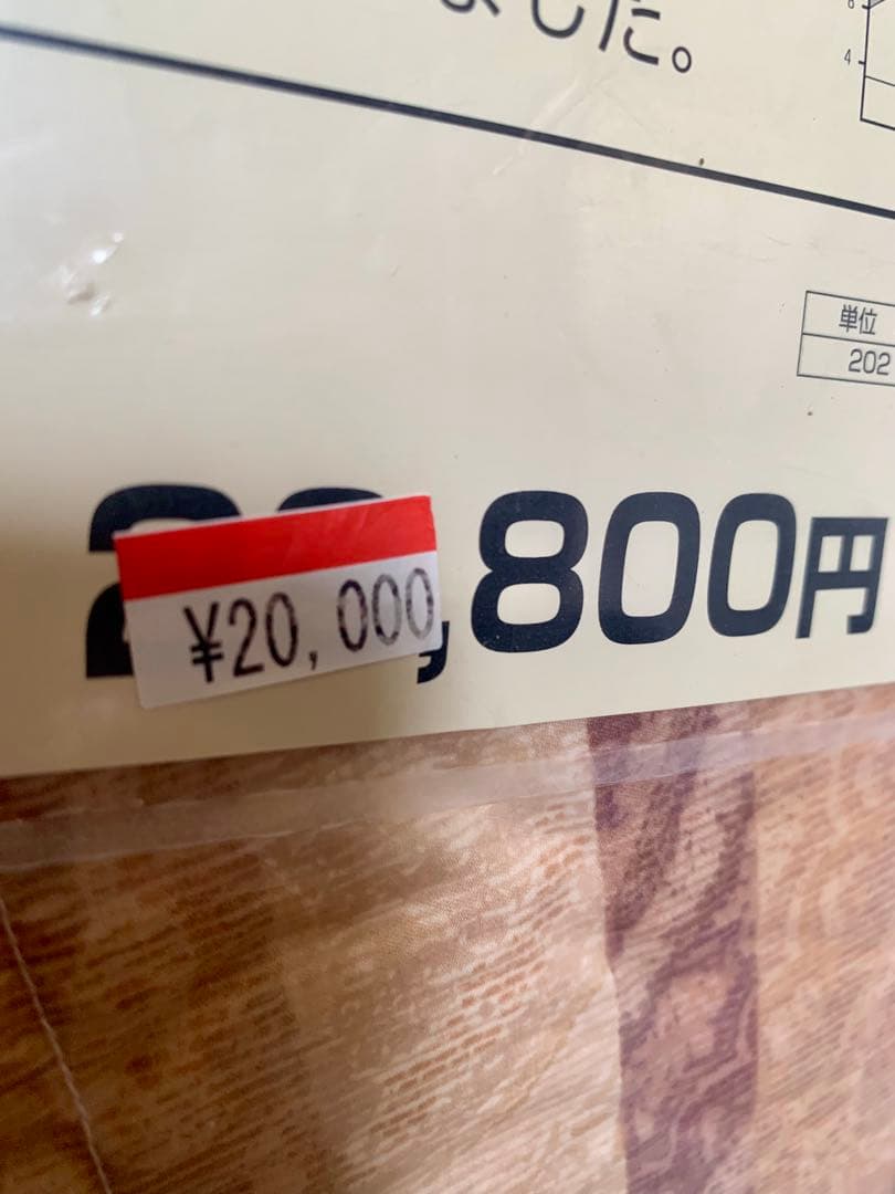 ロシア産ホワイトグースダウン 掛ふとん シングルロング