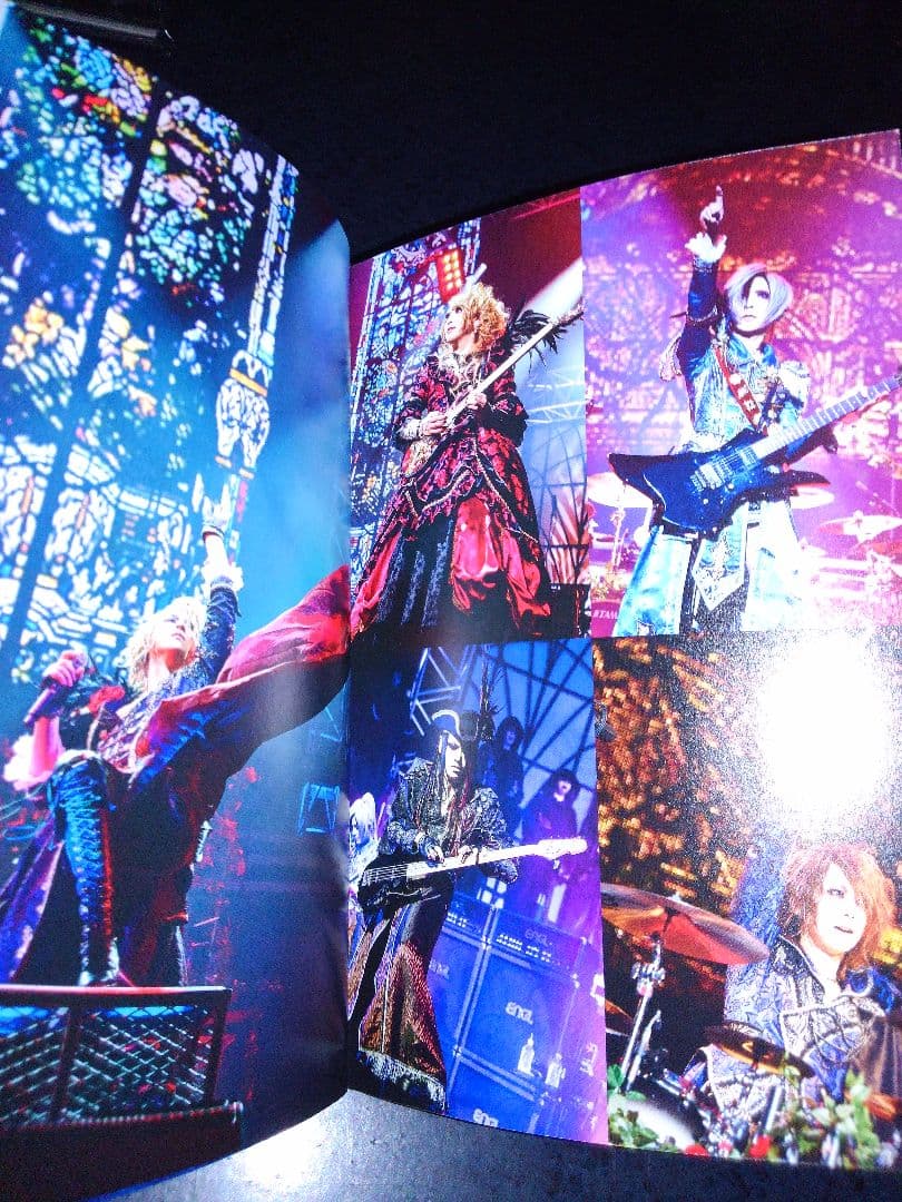 【限定盤】DVD-BOX,3枚組　日本武道館　Versailles