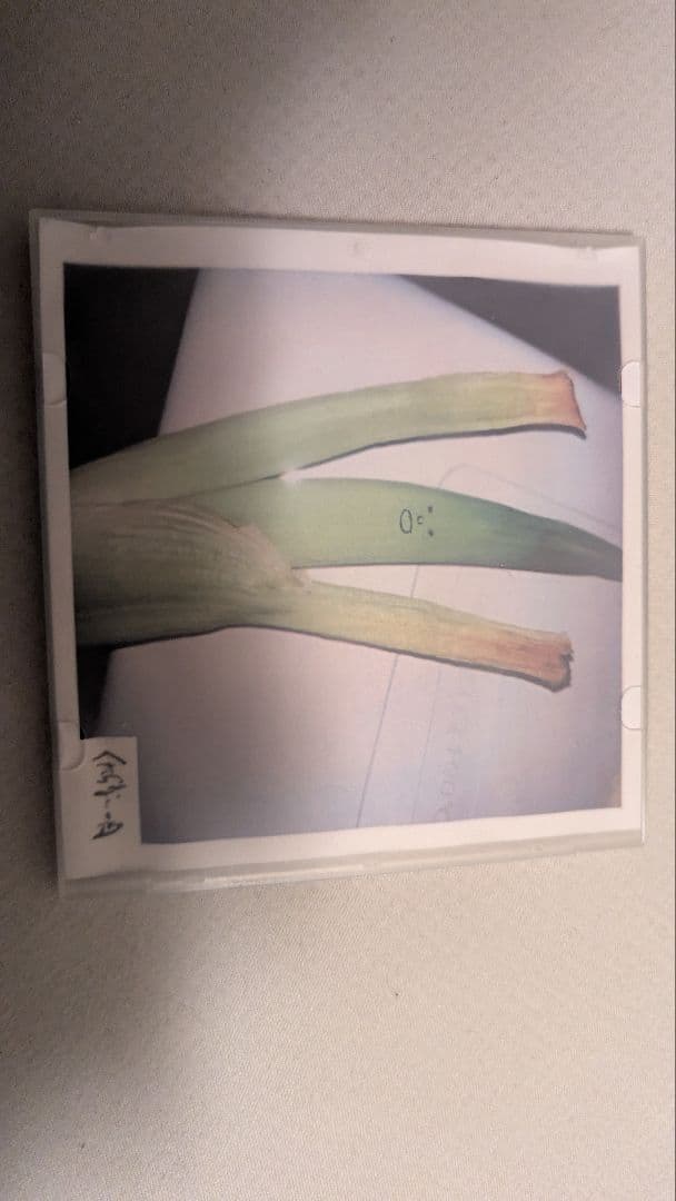 くだらない一日 デモCD