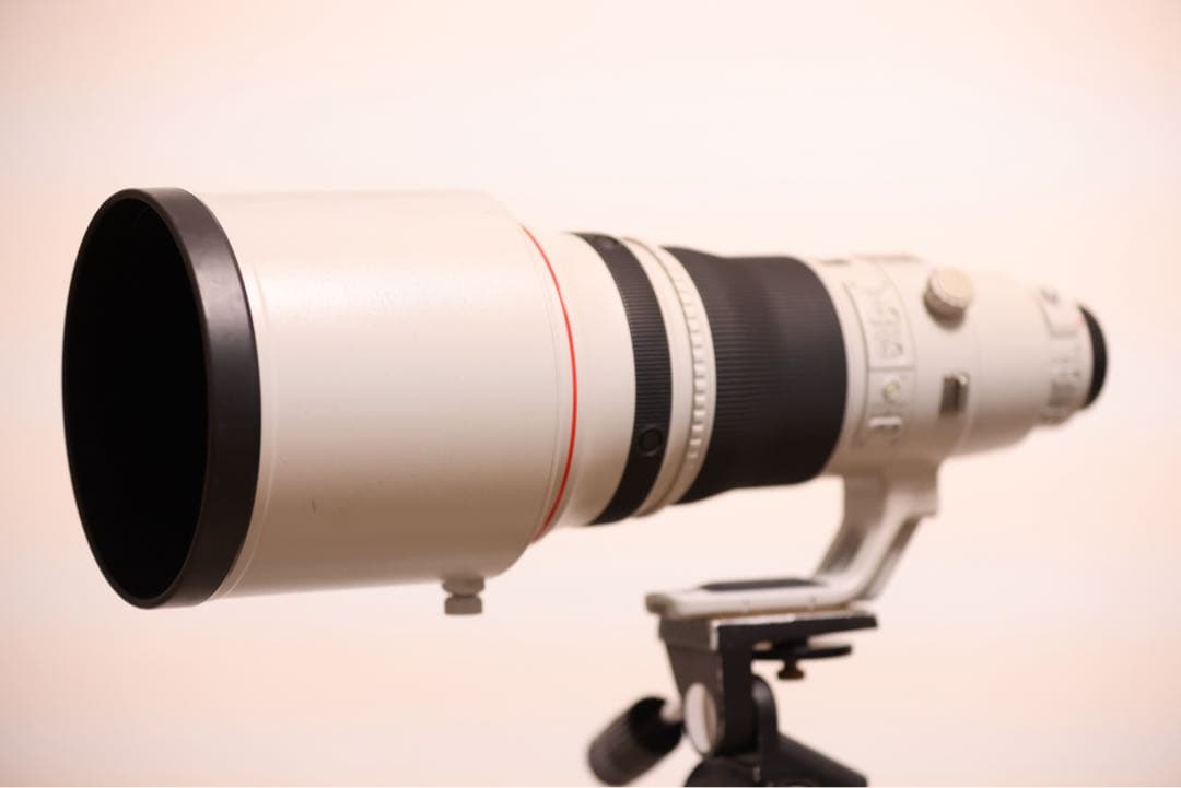 最終値下げCanon EF400mm F2.8L IS II USM ヨンニッパ