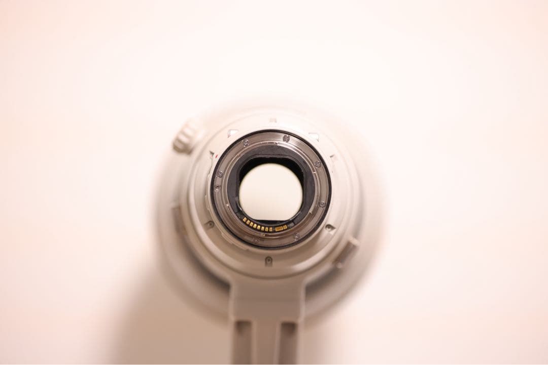 最終値下げCanon EF400mm F2.8L IS II USM ヨンニッパ