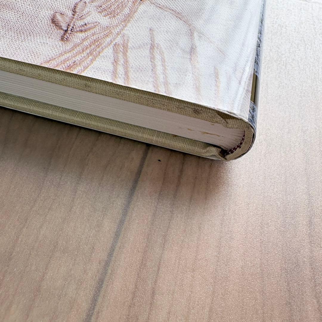 【洋書】Graced by Lace: アンティークリネンとレースのガイド