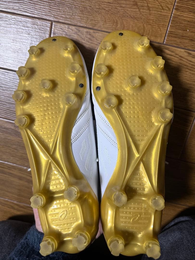 ありがとう アシックス DSライトX-FLY4 25cm