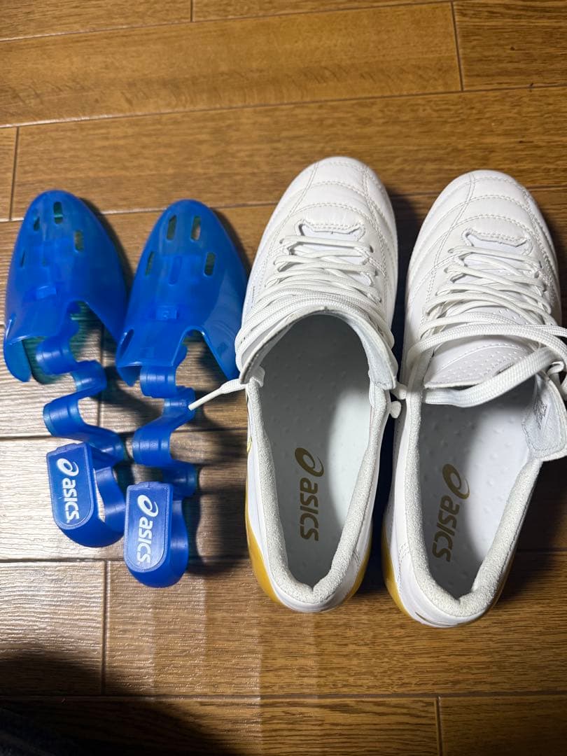 ありがとう アシックス DSライトX-FLY4 25cm