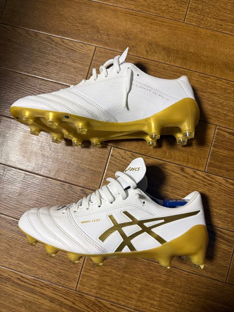 ありがとう アシックス DSライトX-FLY4 25cm