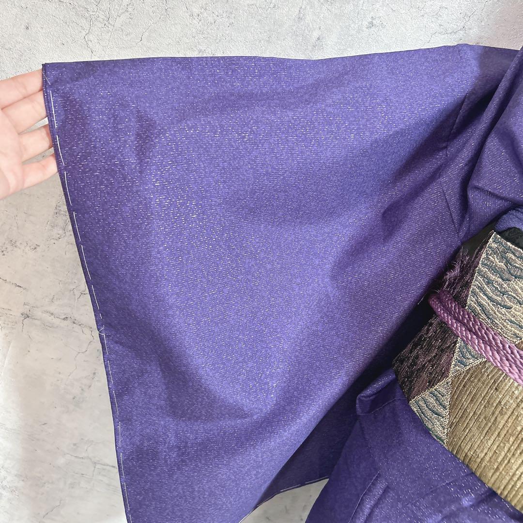 訪問着フルセット　大島紬　着物　正絹　究極のシャレ着　銀通し　辻ヶ花　未使用