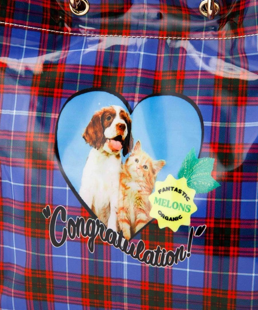 新品　HEY! Mrs ROSE HEY! lHandleBAG 犬　猫