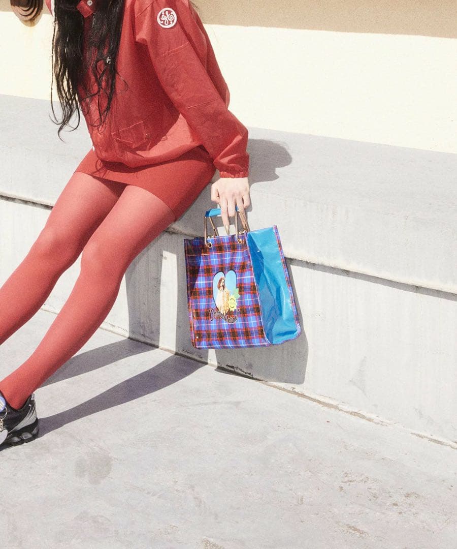 新品　HEY! Mrs ROSE HEY! lHandleBAG 犬　猫