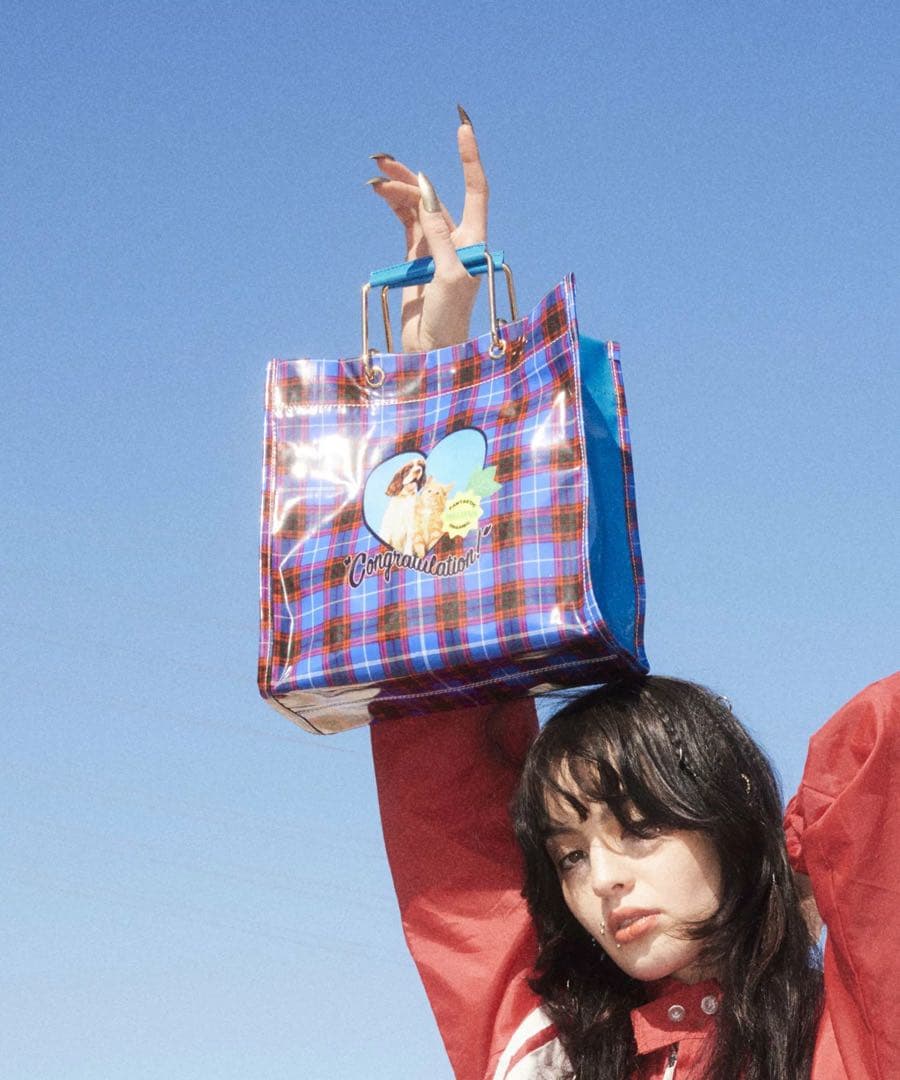 新品　HEY! Mrs ROSE HEY! lHandleBAG 犬　猫