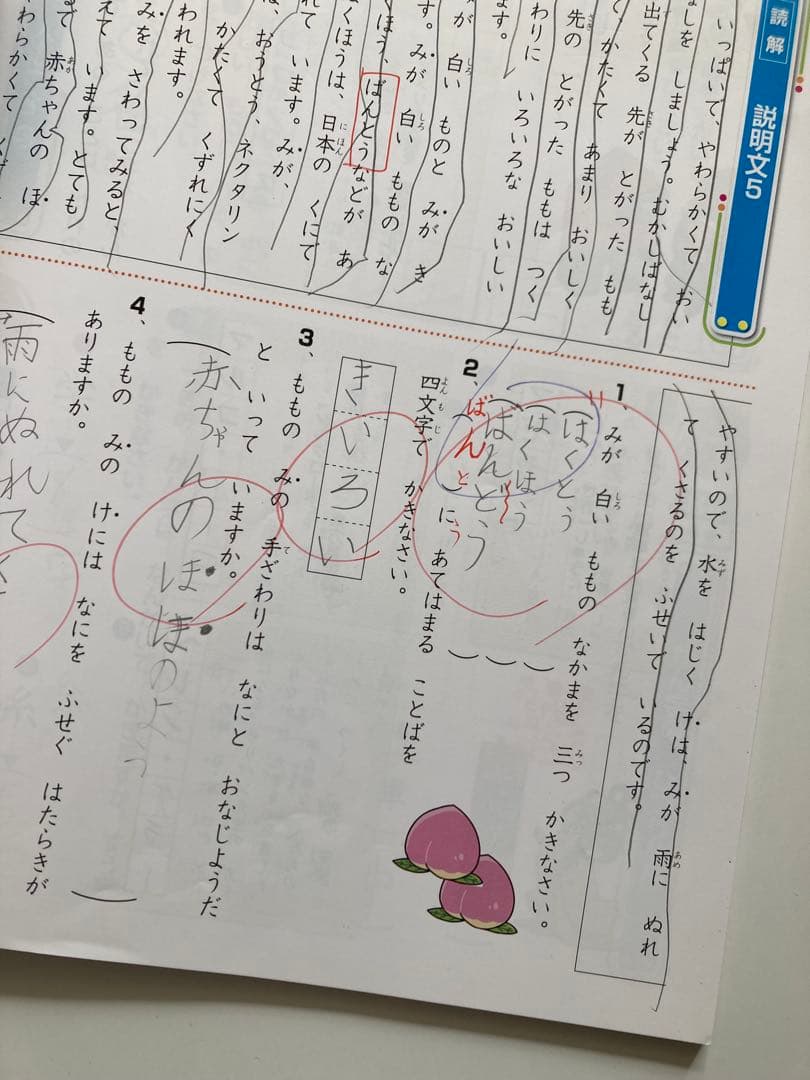 奨学社　最レベ　小学特進クラス　国語　算数　1年生　しょうがく社