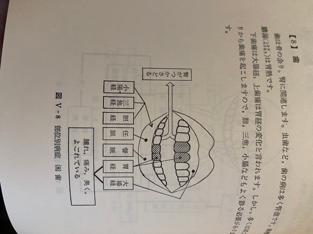 美品希少経絡治療‼️図解 鍼灸医学入門
