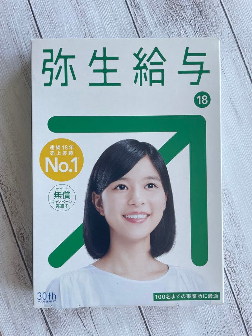 弥生給与18