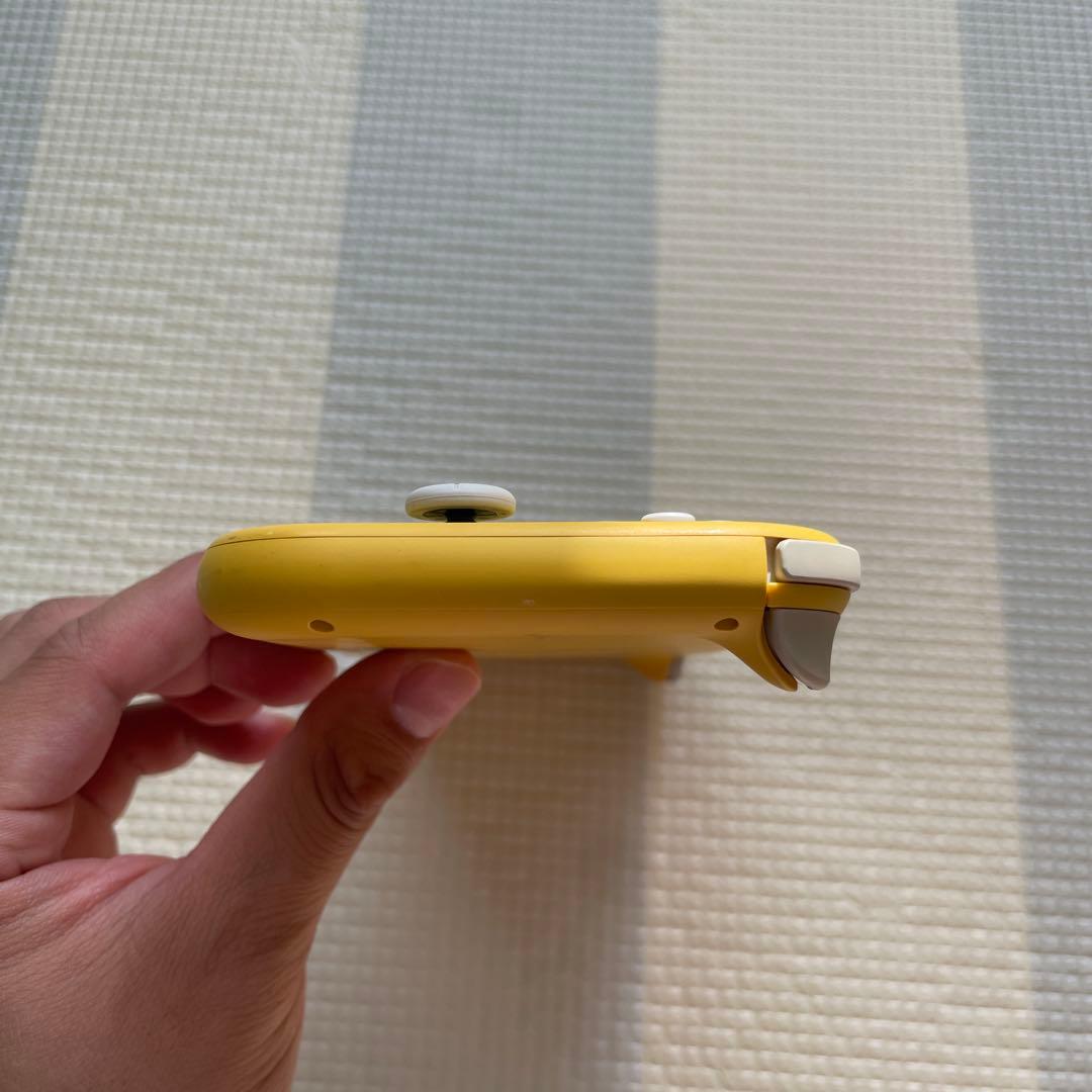 Nintendo Switch ライト 本体のみ