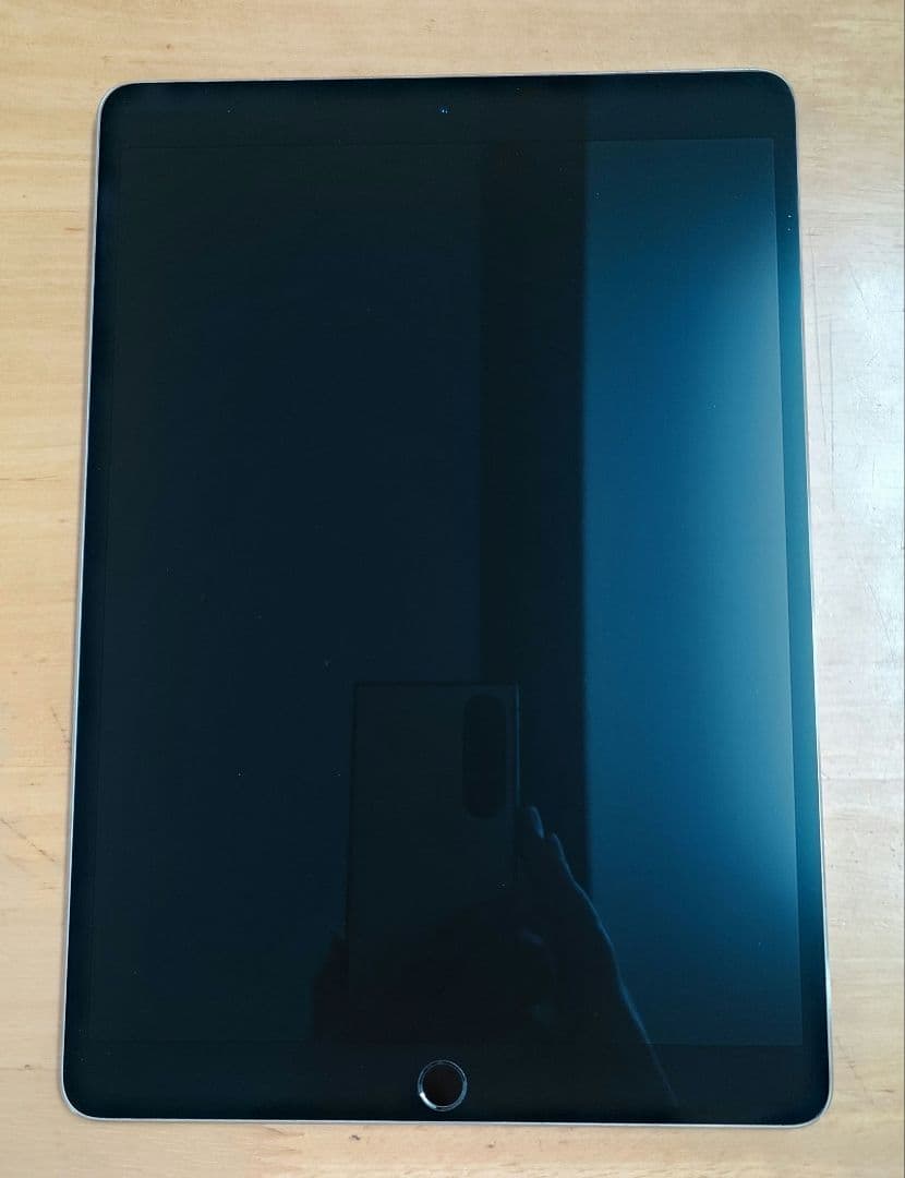 外観美品 Apple iPad 10.5インチ ジャンク (モデルA1709)