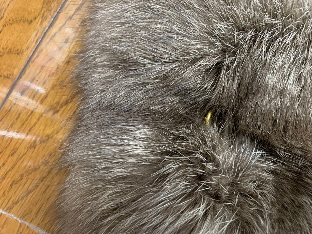 超美品　ミューズドゥドゥーズィーエムクラスフォックスファーティペット