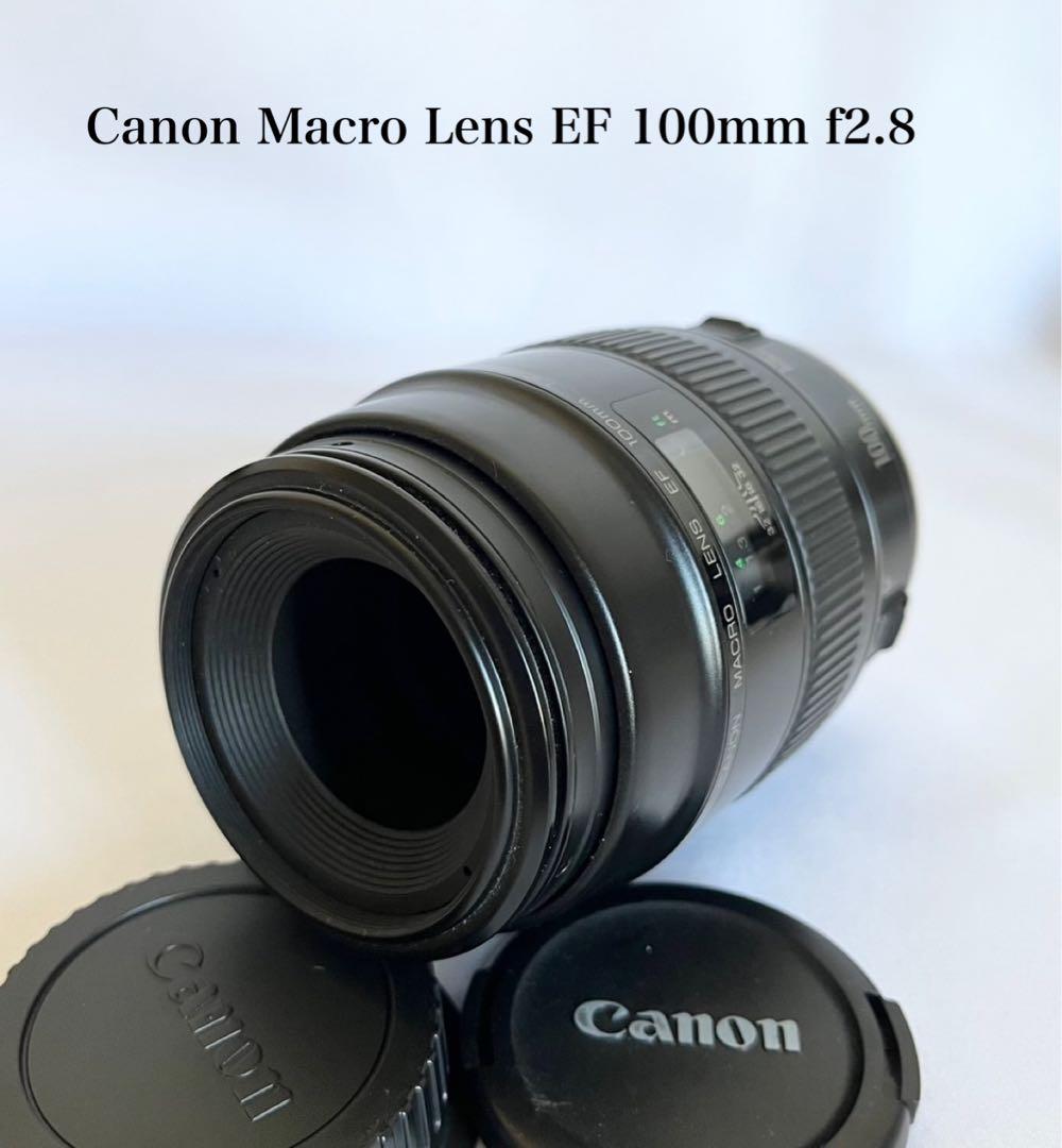 【完動品】CANON MACRO LENS EF 100mm f2.8