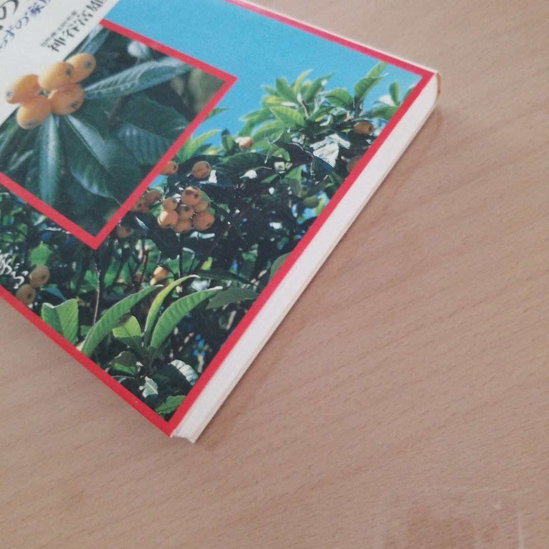 ビワの葉療法のすべて 難病を癒す医者知らずの家庭療法 自然療法に学ぶ