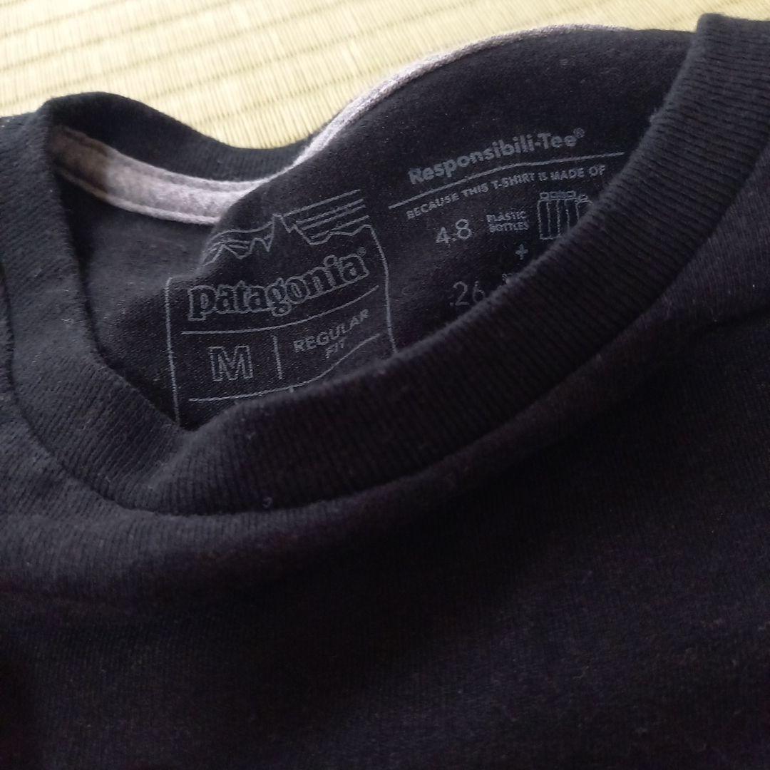 patagoniaバギーズパンツ迷彩Tシャツセット売り