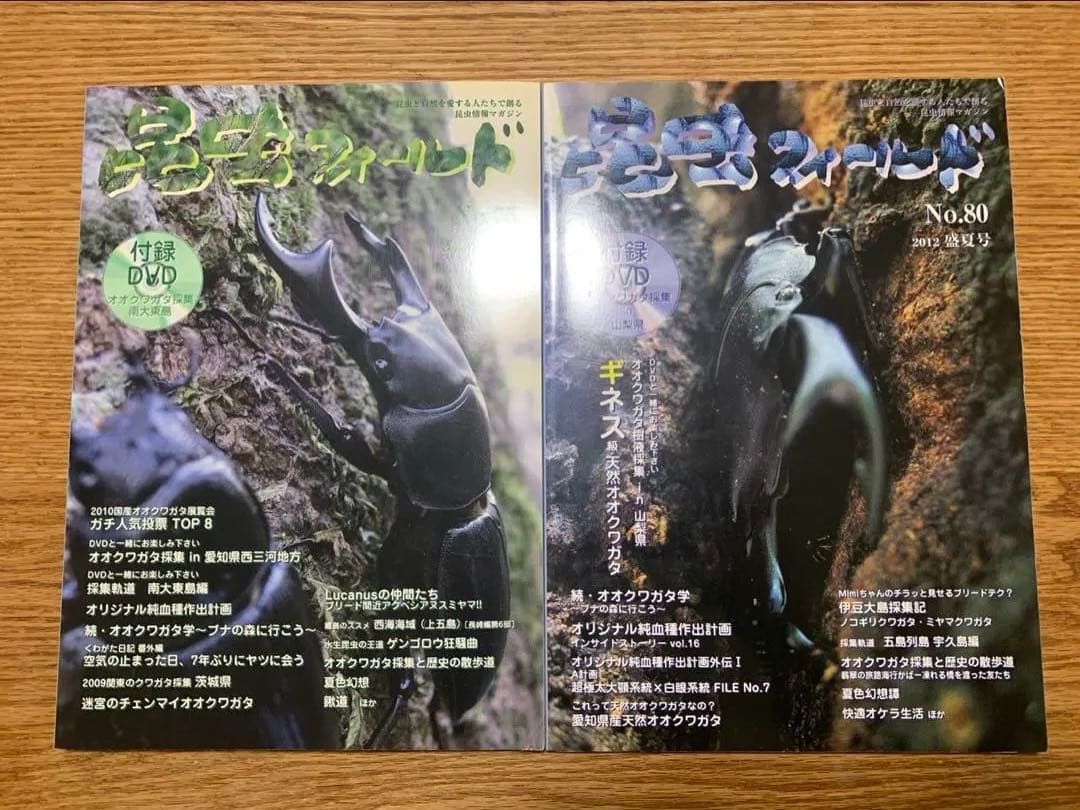 BE KUWAビークワ 25冊、昆虫フィールド2冊セット