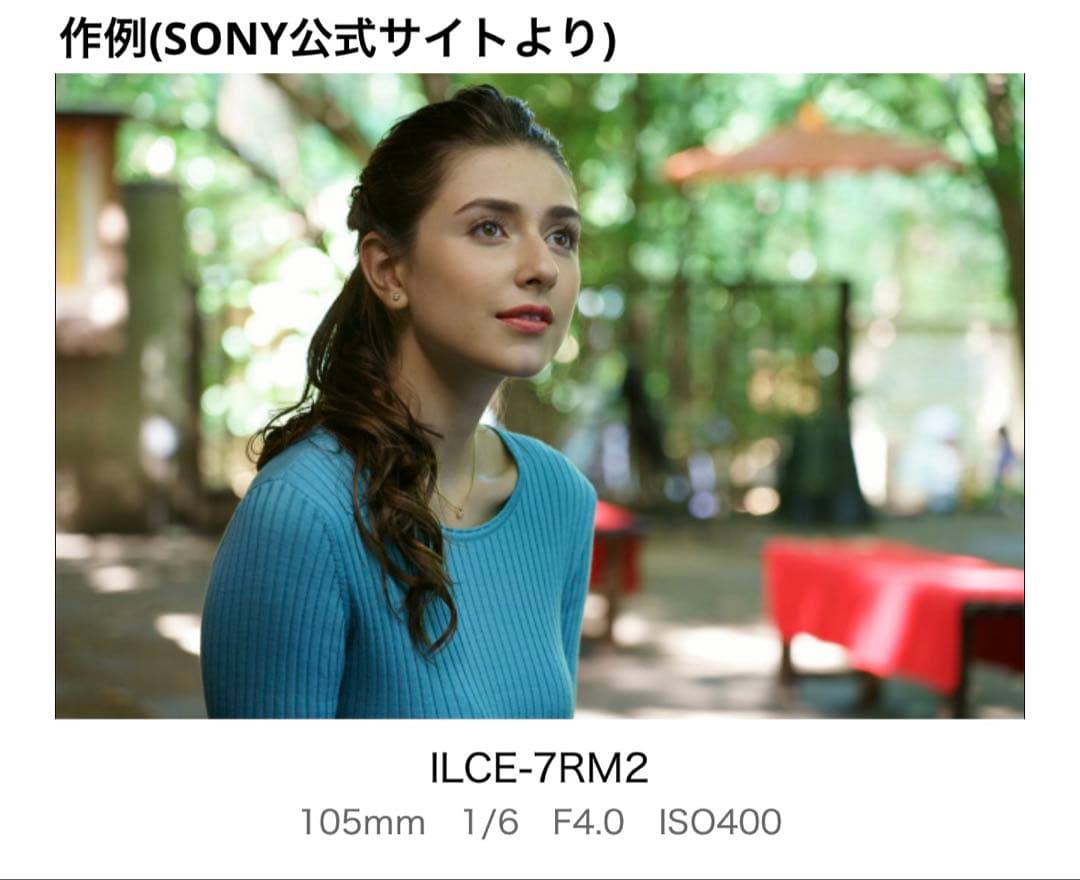 【美品】SONY FE 24-105mm F4 G OSS ズームレンズ