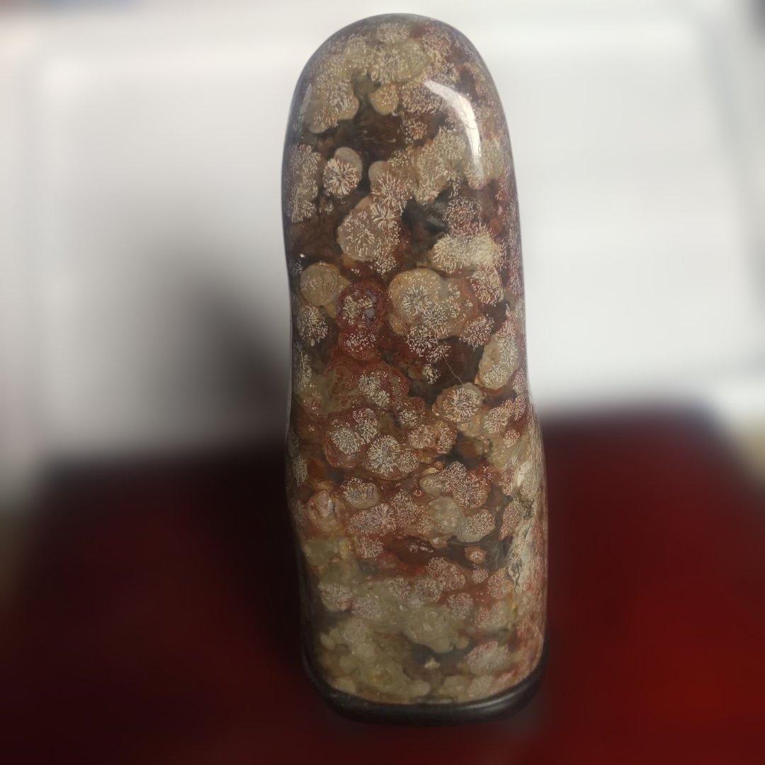 花紋石　青森県深浦町産　４０６０g　管理No.71105